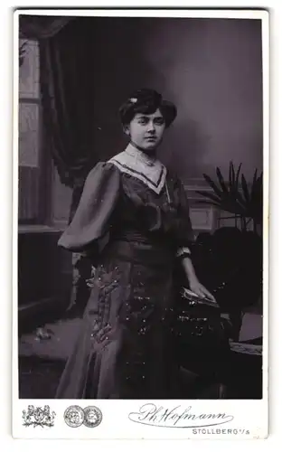Fotografie Ph. Hofmann, Stollberg, am Bahnhof, bürgerliche Dame im Spitzenkleid