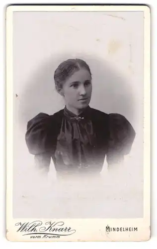 Fotografie Wilhelm Knarr, Mindelheim, am Pferdemarkt, junge Dame im Kleid mit Puffärmeln