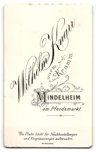 Fotografie Wilhelm Knarr, Mindelheim, am Pferdemarkt, junge Dame im Kleid mit Puffärmeln