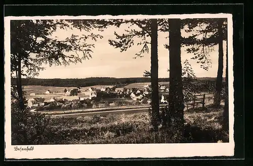 AK Besenfeld, Ortsansicht vom Waldrand her