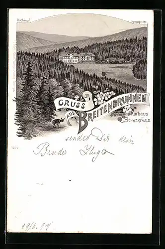 Lithographie Breitenbrunnen, Kurhaus Schwarzwald mit Hochkopf