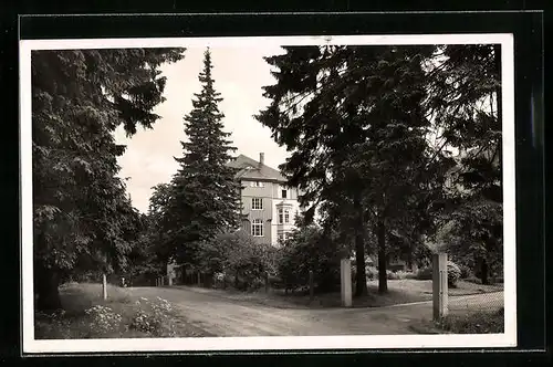 AK Oberhof i. Thür., Hotel Wünscher mit Strassenpartie