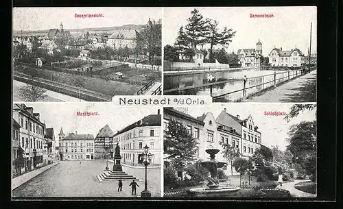 AK Neustadt a. d. Orla, Ortsansicht, Gamsenteich, Marktplatz, Schlossplatz
