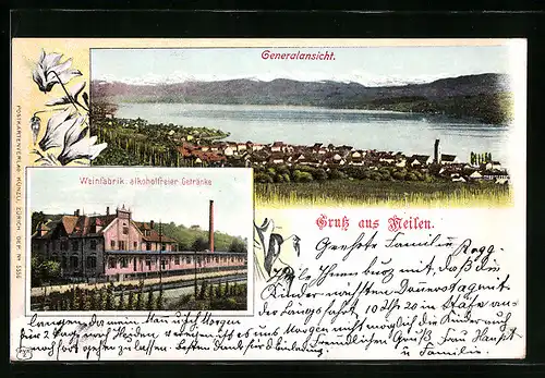 AK Meilen, Gesamtansicht und Weinfabrik alkoholfreier Getränke