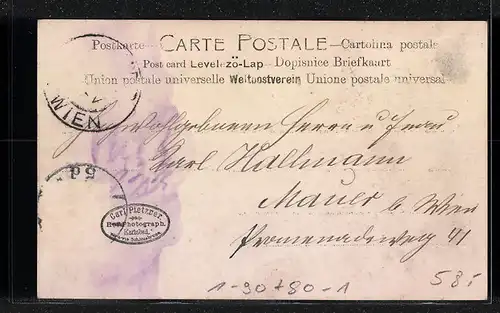 Foto-AK Bürgermeister Carl Lueger in Gesellschaft, original Autograph