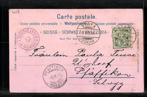 Lithographie Rheinfall, Rheinfall, Schloss Laufen