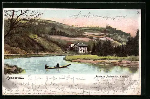 AK Rosswein, Partie im Muldenthal mit Thalbad