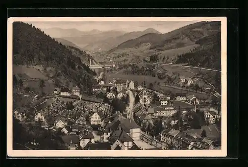 AK Hornberg, Blick vom Schloss ins Gutachtal