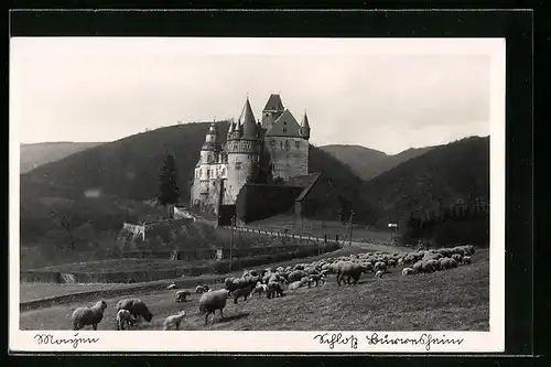 AK Mayen, Blick auf Schloss Bürresheim