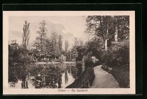 AK Cöthen, Wanderweg am Buschteich