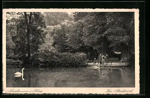 AK Nordhausen a. Harz, Teich mit Schwan im Stadtpark
