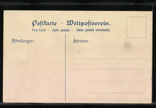 Lithographie Passagierschiff Kaiserin Auguste Victoria der H.-A.-Linie in voller Fahrt