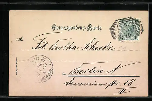 AK Meran, Gilfpromenade mit Steinernensteg