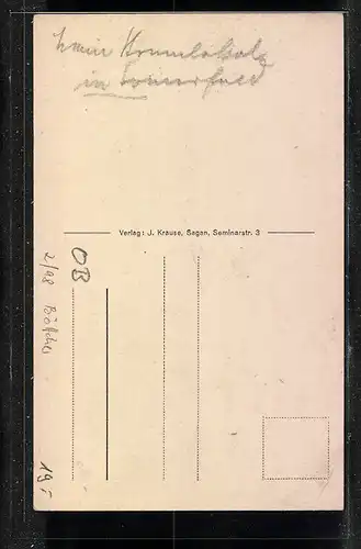 AK Sommerfeld i. d. N.-L., Hotel Grüner Baum