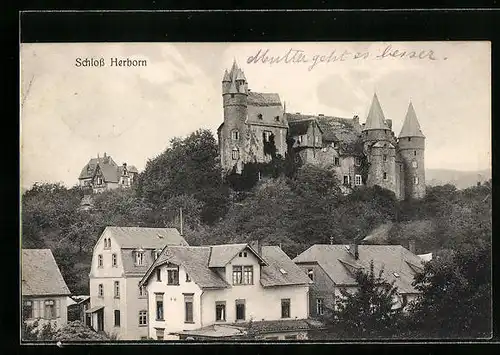 AK Herborn i. H., Ortspartie mit Schlossansicht