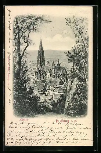 Relief-AK Freiburg i. B., Blick vom Waldrand auf das Münster