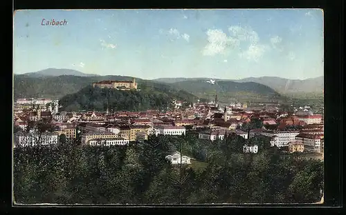 AK Laibach, Teilansicht mit Schloss und Bergpanorama