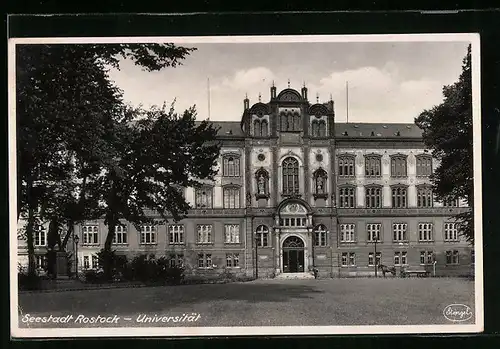 AK Rostock, Universität