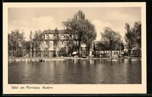 AK Röbel a. Müritzsee, Seestern