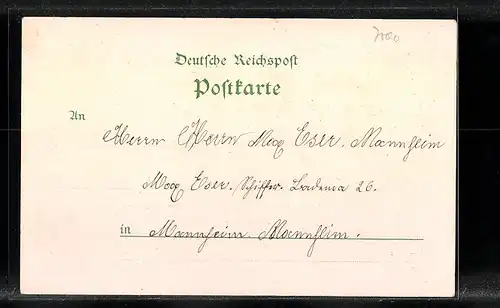 Lithographie Karlsruhe, Marktplatz, Hoftheater, Schwarzwaldhaus