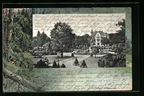 AK Freiberg i. S., Partie im Albert-Park