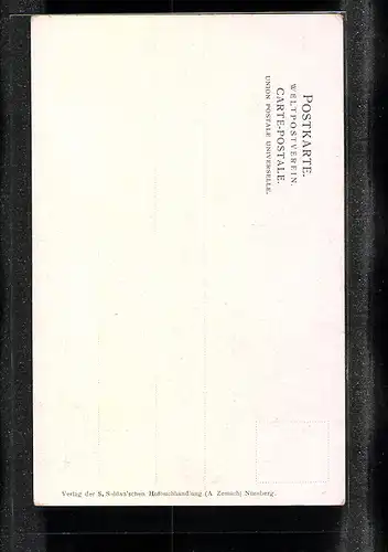 Künstler-AK Nürnberg, Vestnerthor