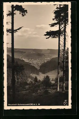 AK Neustadt /Schwarzwald, Blick von einer Anhöhe auf den Ort