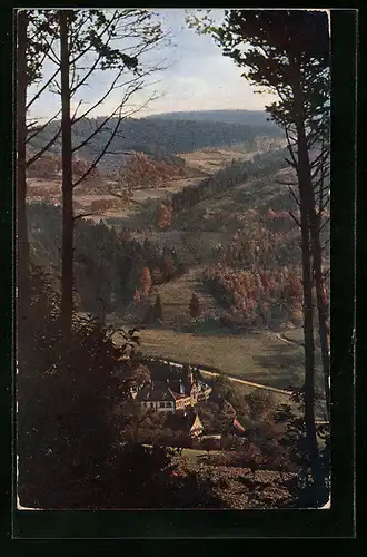 AK Neusatzeck, Blick vom Wald aufs Kurhaus