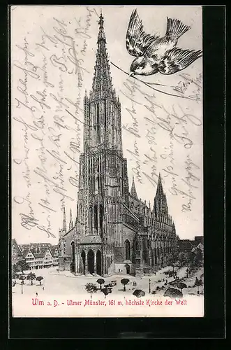 AK Ulm, Ulmer Münster und Ulmer Spatz