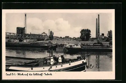 AK Cosel, Blick auf die Zellstoff-Fabrik