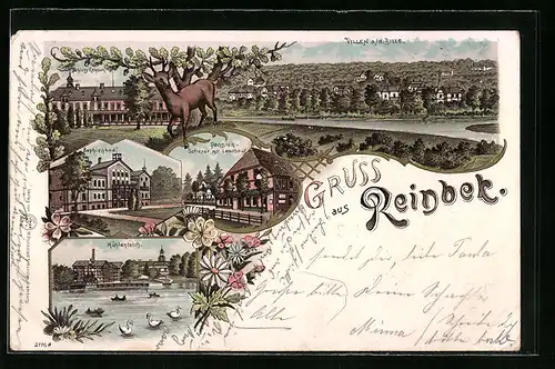 Lithographie Reinbek, Pension Scherer mit Landhaus, Sophienbad und Schloss Reinbek