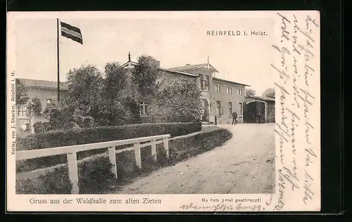 AK Reinfeld i. Holst., Gruss aus der Waldhalle zum alten Zieten