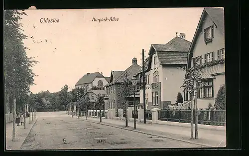 AK Oldesloe, Ortspartie mit der Kurpark-Allee