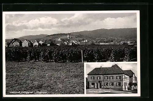 AK Hallgarten im Rheingau, Ortsansicht und Gasthaus zum Taunus, Bes. Franz Korn