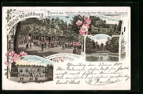 Lithographie Ahrensburg, Hotel und Restaurant Waldburg, Karpfenteich und Logirhaus