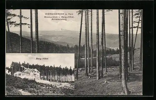 AK Wernigerode /Harz, Berg-Hotel, Brockenblick mit Armeleuteberg