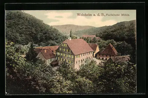 AK Weinheim a. d. B., Fuchssche Mühle aus der Vogelschau