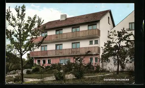 AK Schwann über Neuenbürg, Gasthaus und Pension Waldhorn im nördl. Schwarzwald