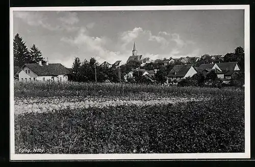 AK Eging i. Ndby, Blick über Felder auf den Ort