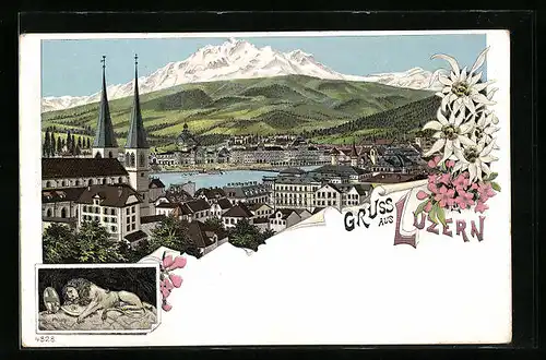 Lithographie Luzern, Totalansicht aus der Vogelschau
