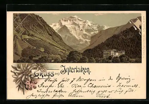 Lithographie Interlaken, Ortsansicht mit Bergpanorama, Edelweiss