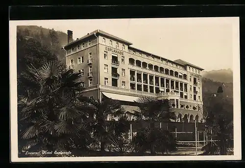 AK Locarno, Hotel Esplanade mit Palmen