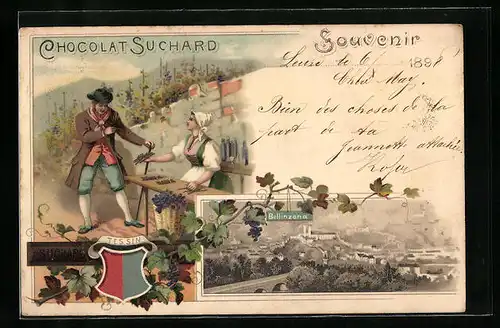 Lithographie Bellinzona, Ortsansicht aus der Vogelschau