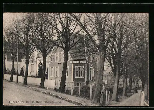 AK Oldenburg i. Holst., Hoheluftstrasse