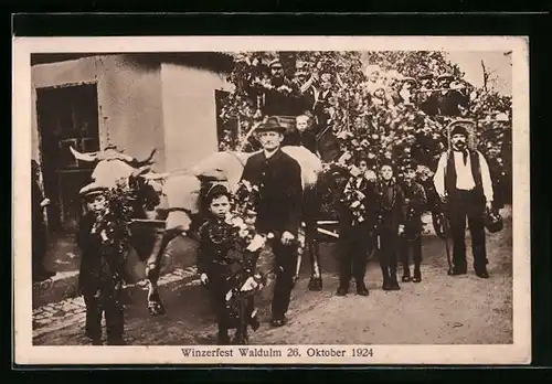 AK Waldulm, Festwagen mit Teilnehmern beim Winzerfest 1924, Ochsengespann
