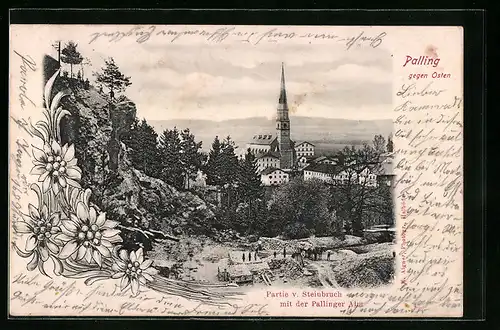 AK Palling, Teilansicht gegen Osten mit Partie vom Steinbruch und der Alm