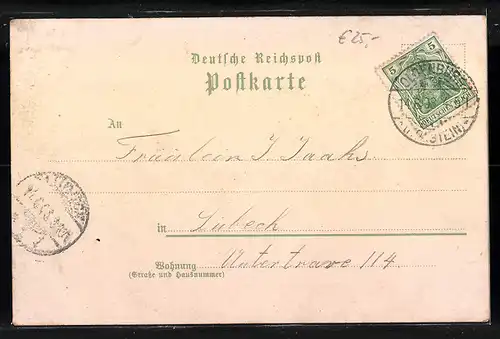 Lithographie Oldenburg i. H., Panorama, Markt, Hotel Stadt Hamburg, Kirche
