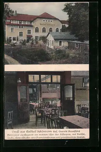 AK Schönborn, Gasthof Schönborn mit Garten und Gaststube