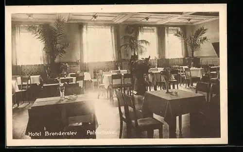 AK Palmehave, Hotel Bronderslev, Innenansicht des Speisesaales