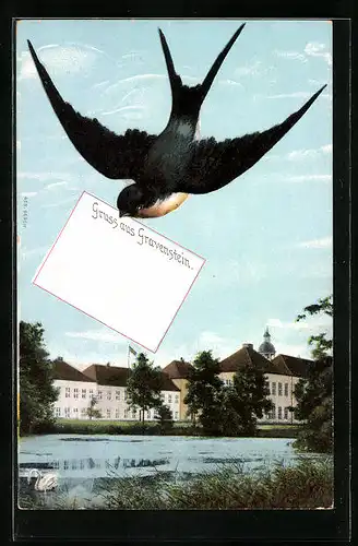 AK Gravenstein, Blick über den Teich aufs Schloss